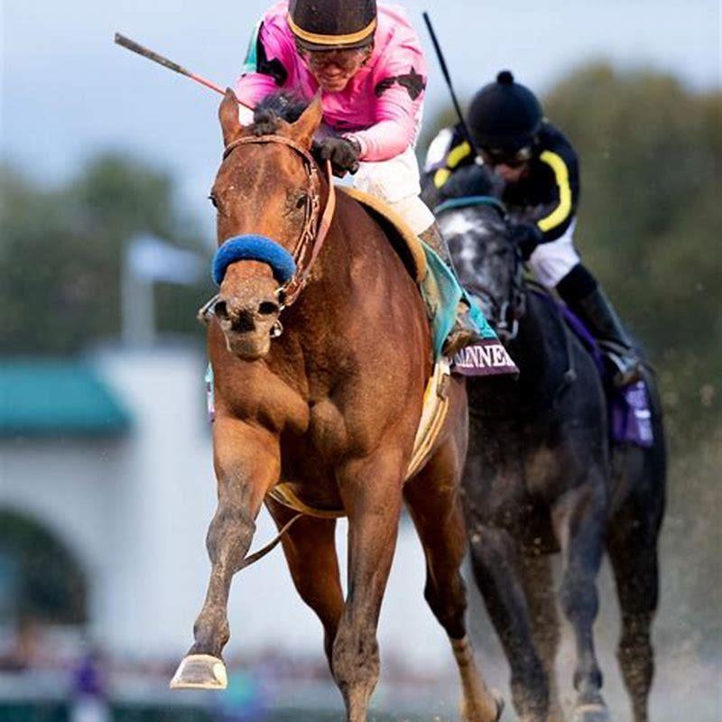 How old is a horse when it starts racing?