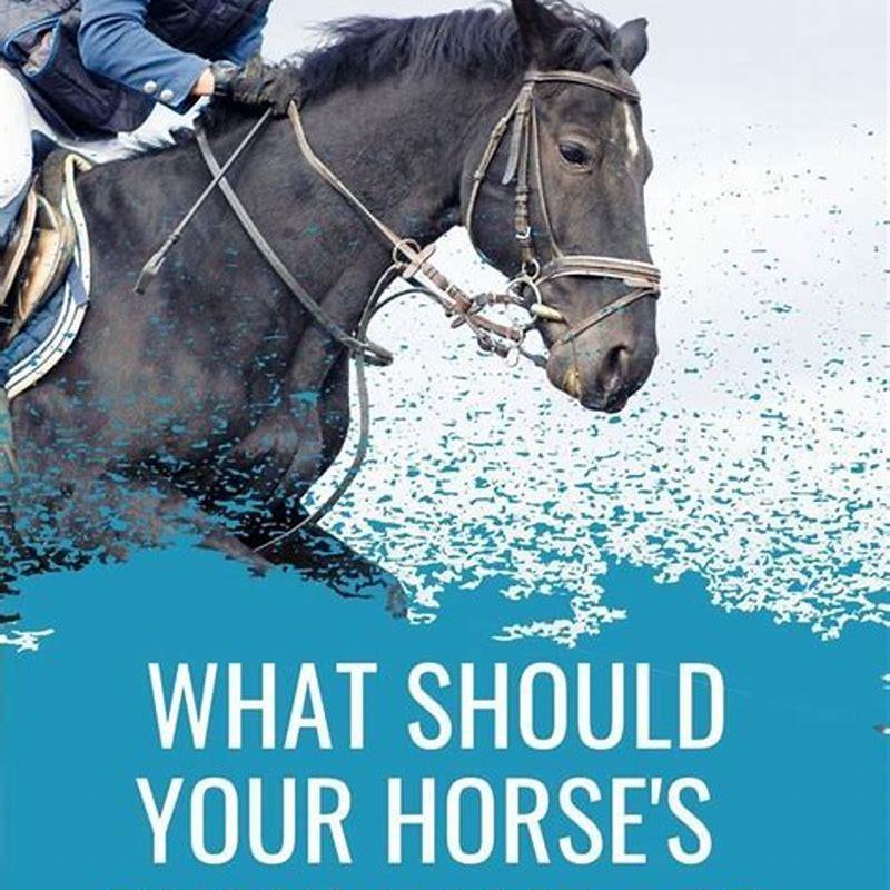 What are some unique names for horses? - DIY Seattle