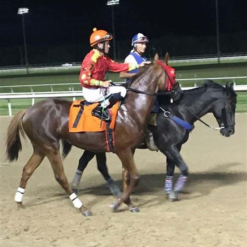What do you wear at the races?