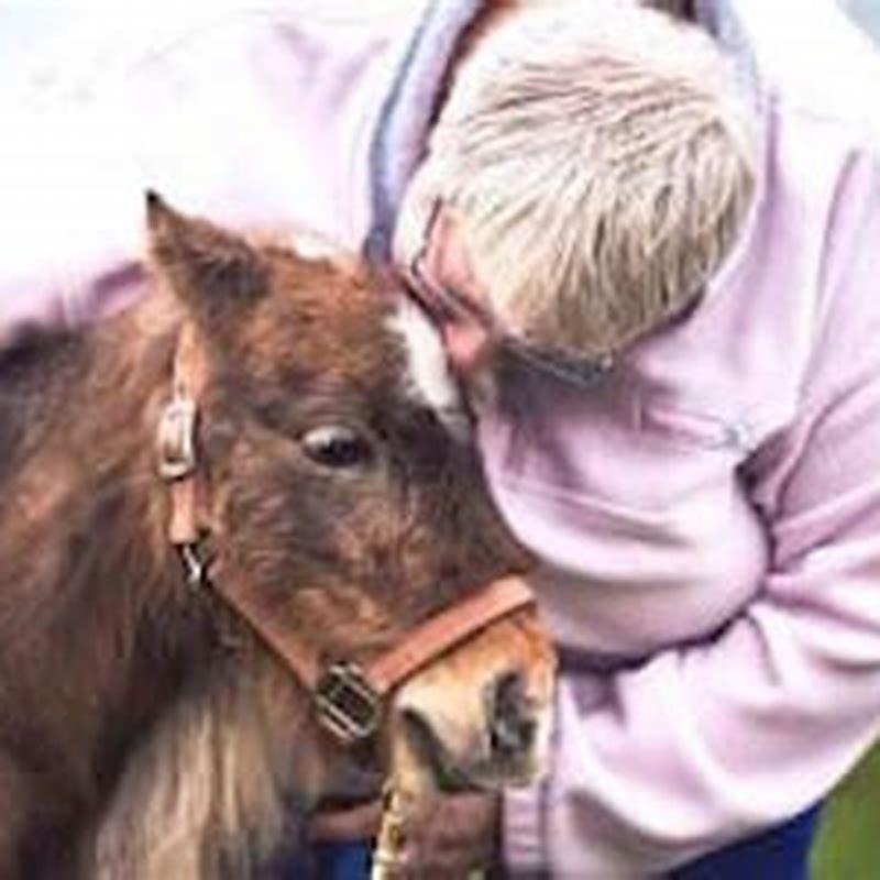 What does it mean if a horse smiles?
