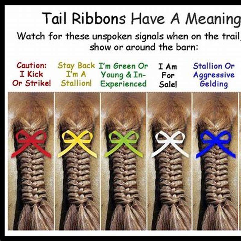 What does it mean when a horse bows to you?