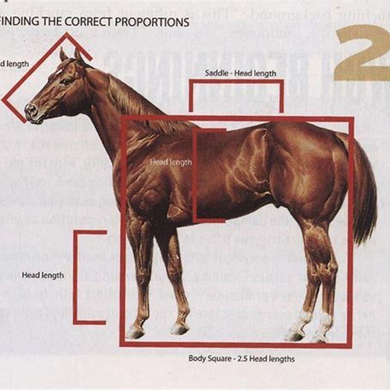 What is the average length of a Quarter Horse?