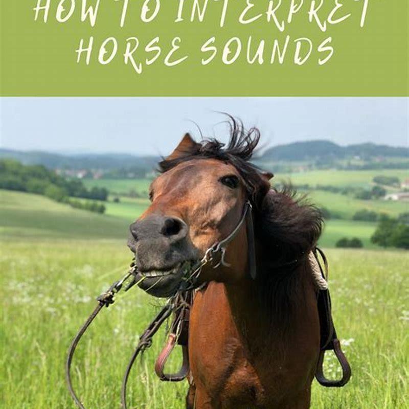 What sound does the horse make? DIY Seattle