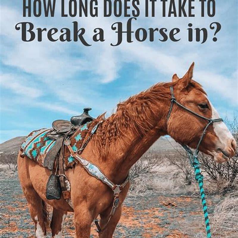 When should you break a horse in?