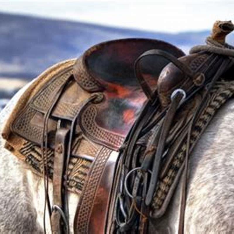 Where did the use of horses originate?
