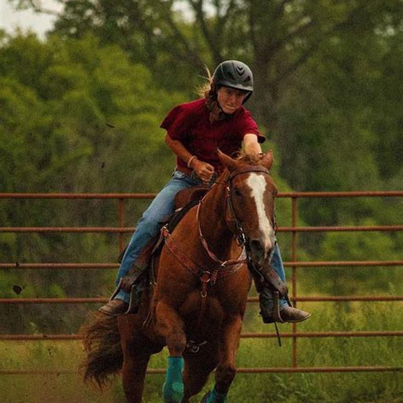 why-do-horses-get-chestnuts-on-their-legs-diy-seattle