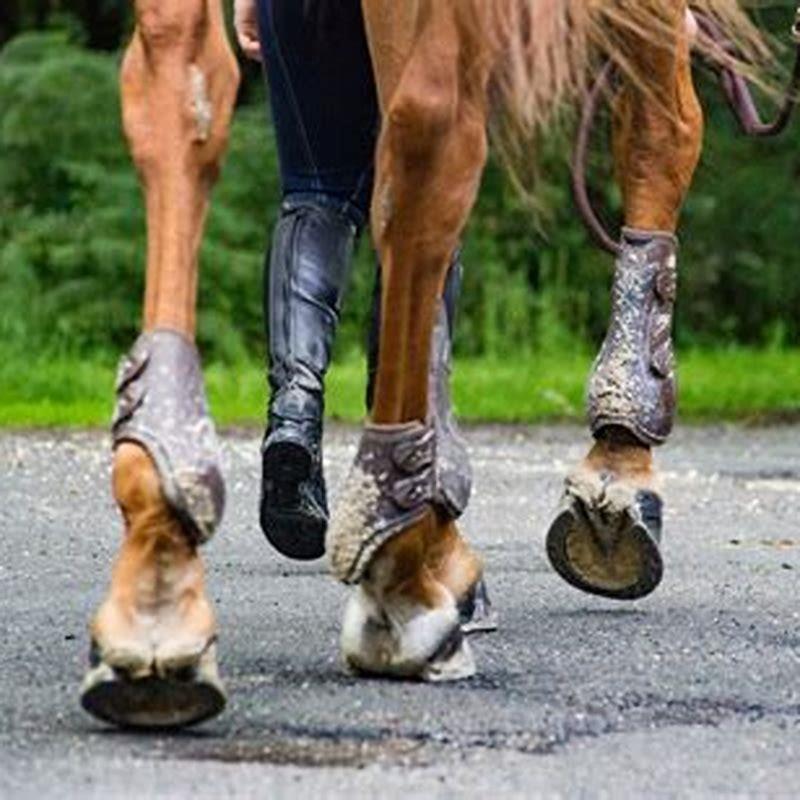 Why do horses have to wear horseshoes? DIY Seattle