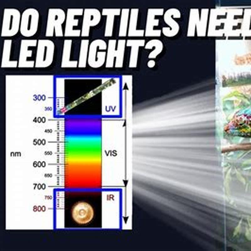 Do LED lights affect snakes?