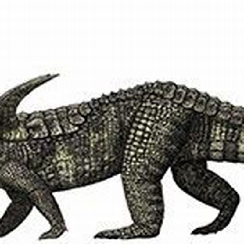Are crocodiles pseudosuchians?