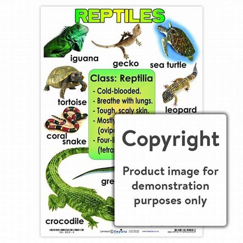 Are reptiles smarter than mammals? - DIY Seattle