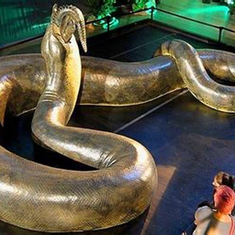 Did Titanoboa eat crocodiles? - DIY Seattle