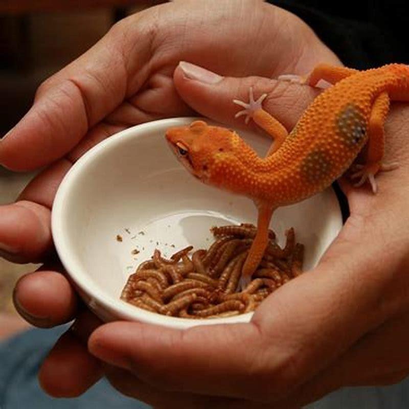Do all pet reptiles have Salmonella?