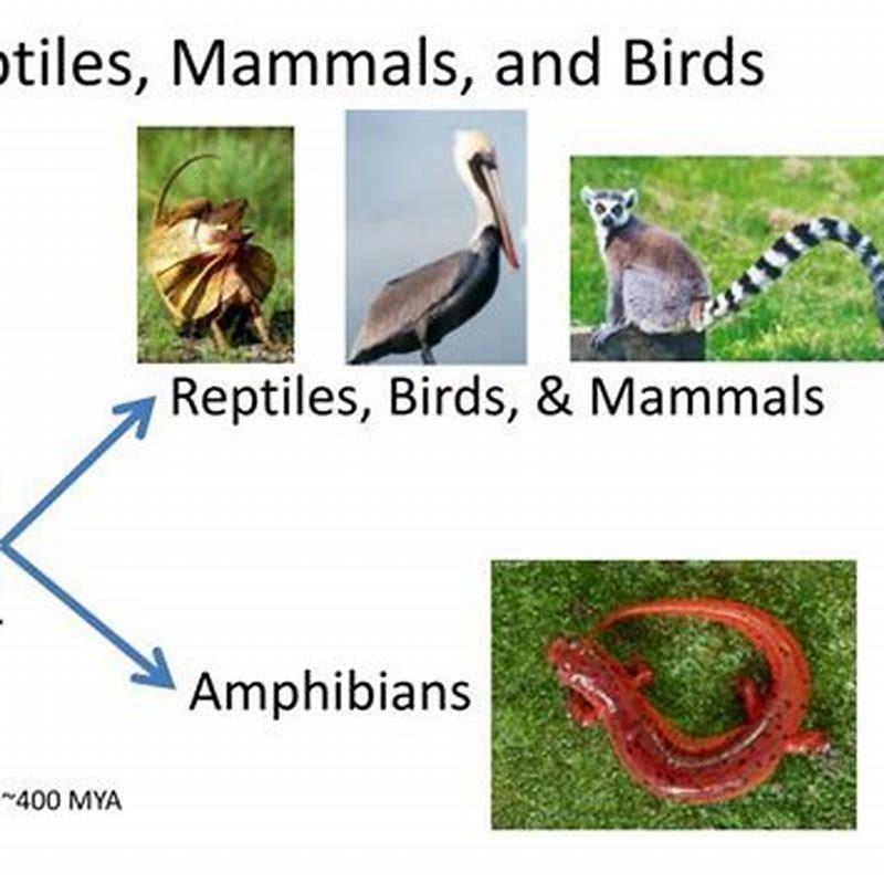 How are reptiles and birds alike?