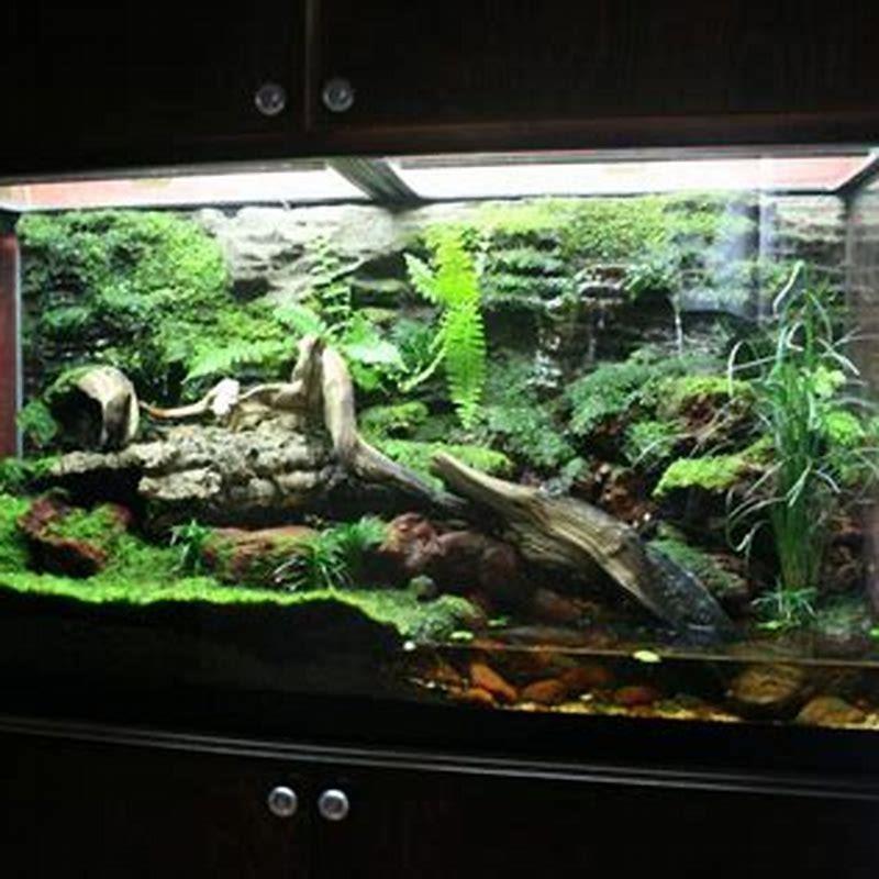 how-do-you-make-a-waterfall-in-a-vivarium-diy-seattle