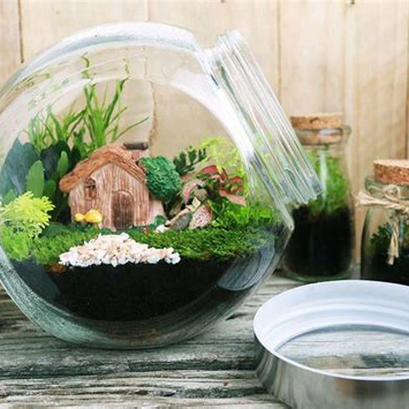 how-do-you-make-driftwood-safe-for-terrariums-diy-seattle