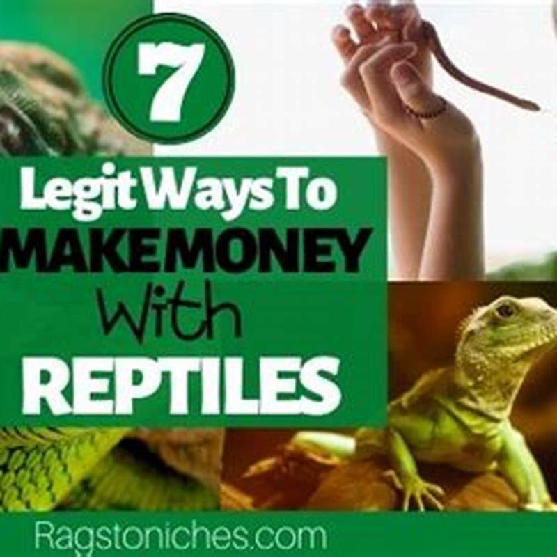 How do you make money with reptiles? - DIY Seattle