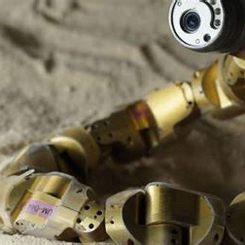 How do you move across country with a snake?