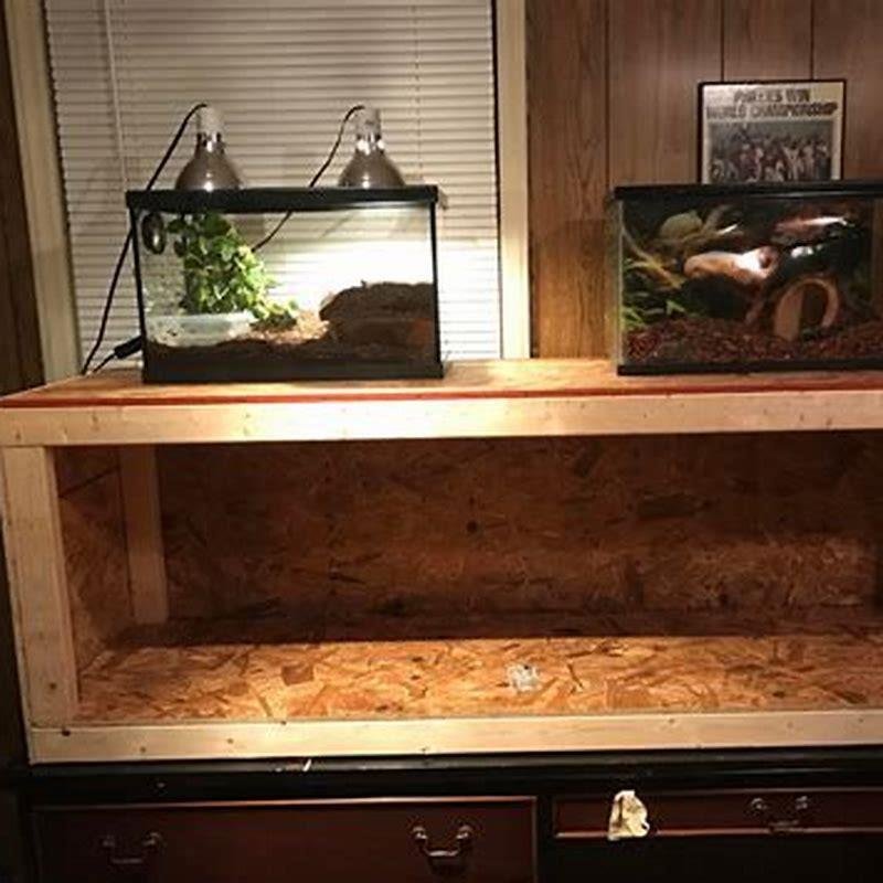 How do you prepare wood for a snake vivarium? - DIY Seattle