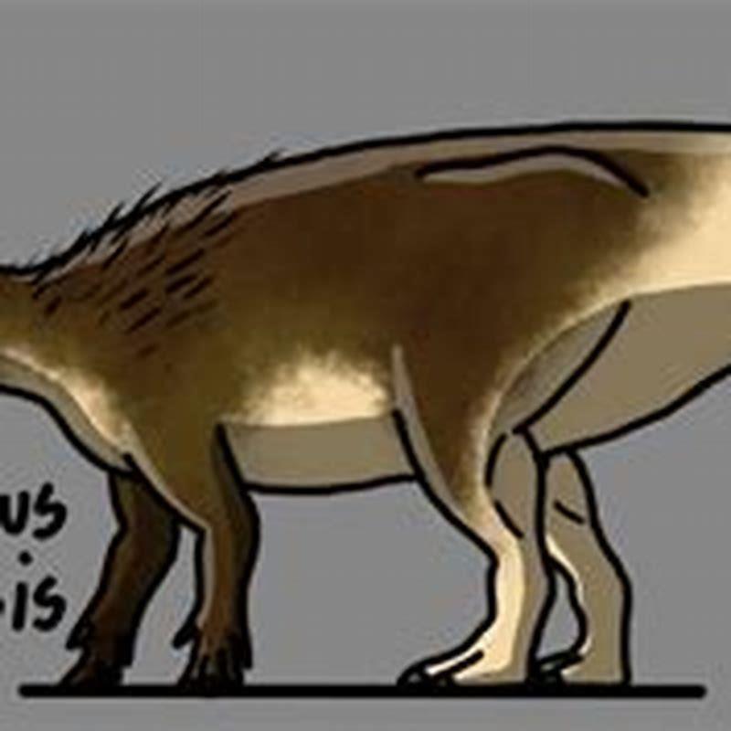 How tall is a Fukuisaurus?