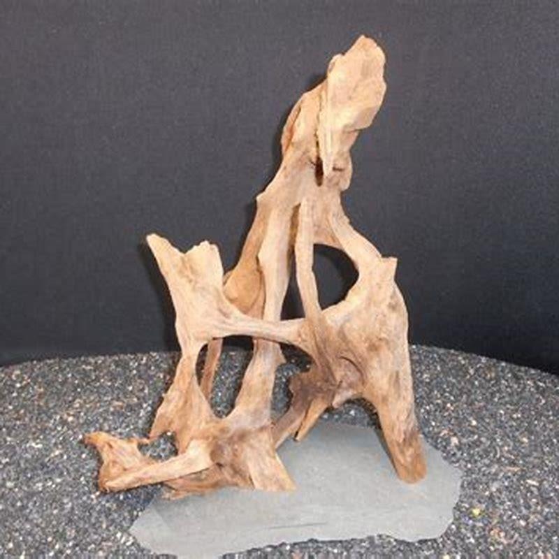 is-all-driftwood-safe-for-reptiles-diy-seattle