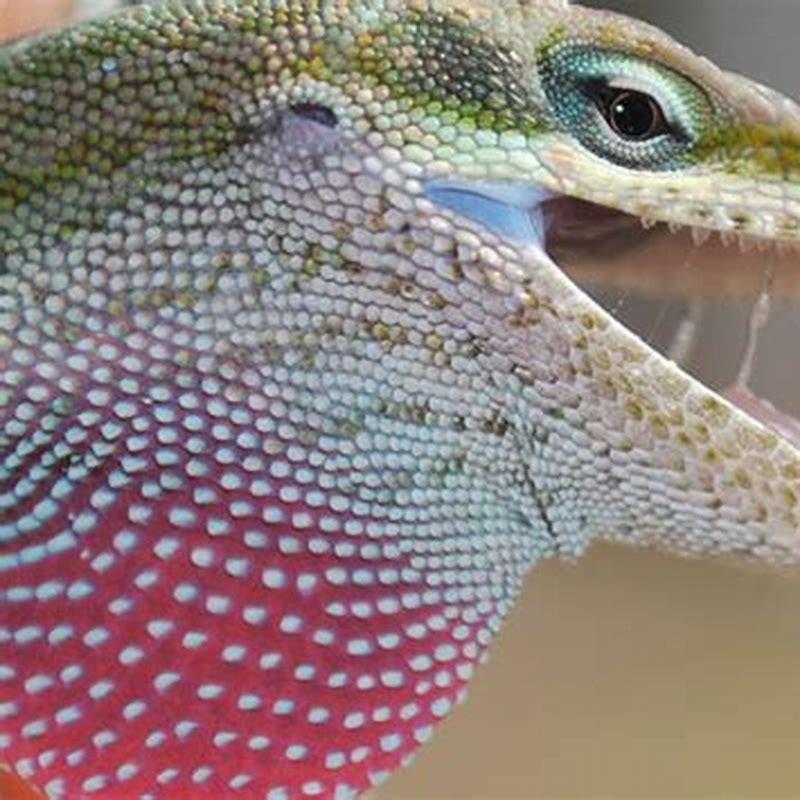 What animals are in Sauria?
