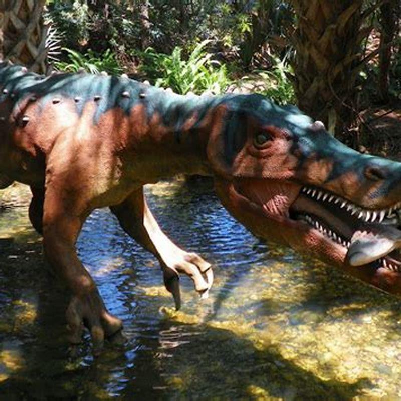 What did Coelophysis eat?