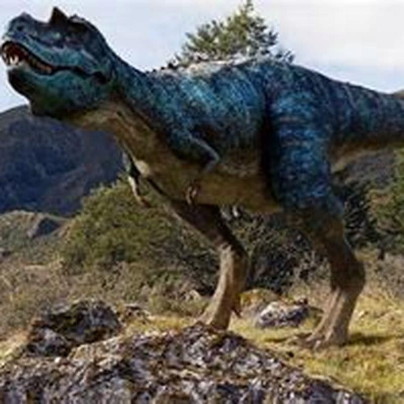 What does a Psittacosaurus look like?