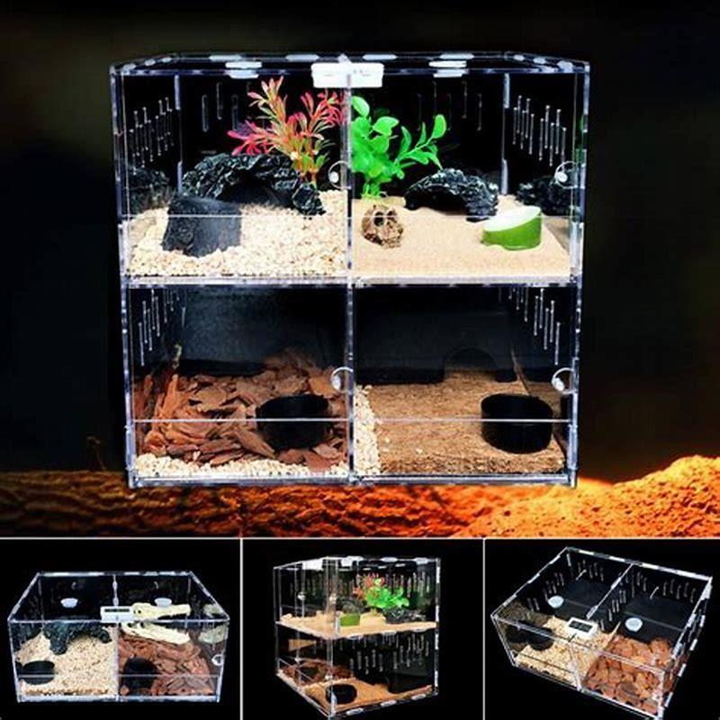 what-is-a-substrate-in-a-reptile-tank-diy-seattle