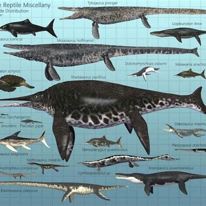 What is the smallest prehistoric marine reptile? - DIY Seattle