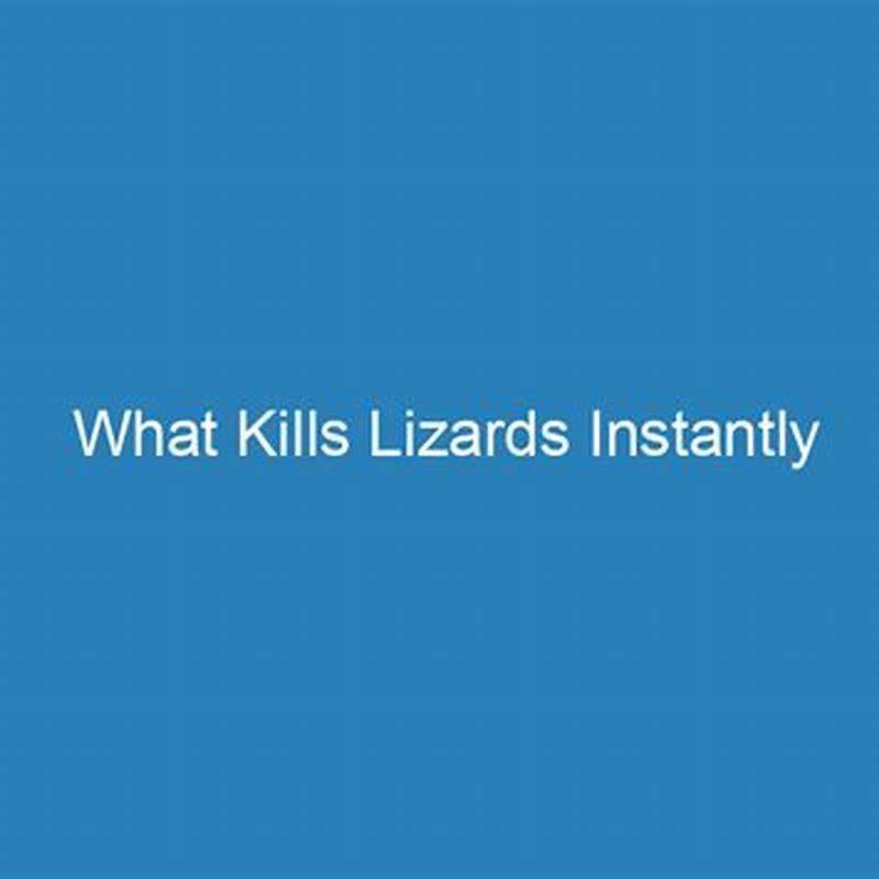 What kills lizards instantly? DIY Seattle