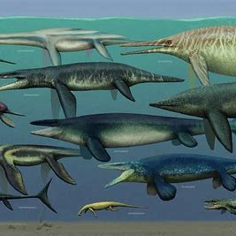 What were the first marine reptiles? - DIY Seattle