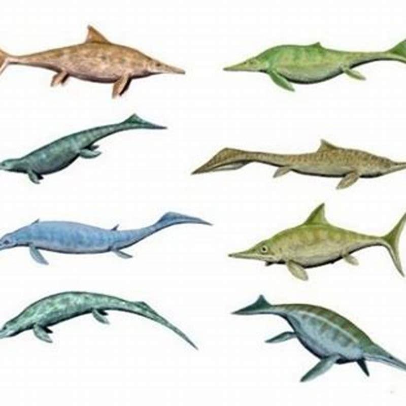 When did marine reptiles go extinct? - DIY Seattle