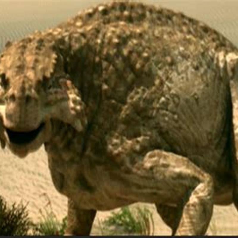 Where did the Pareiasaur live?