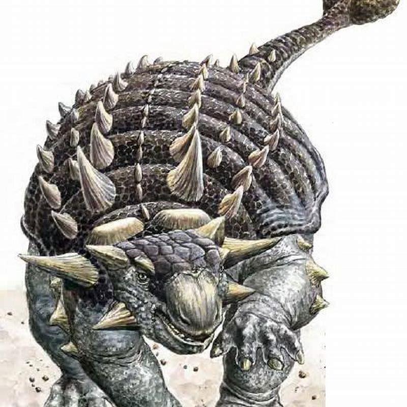 Which dinosaur had a club tail?