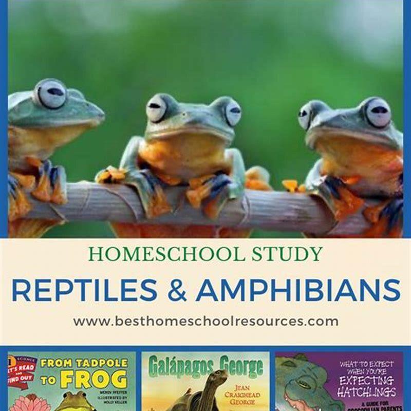 WHO study about reptiles? - DIY Seattle