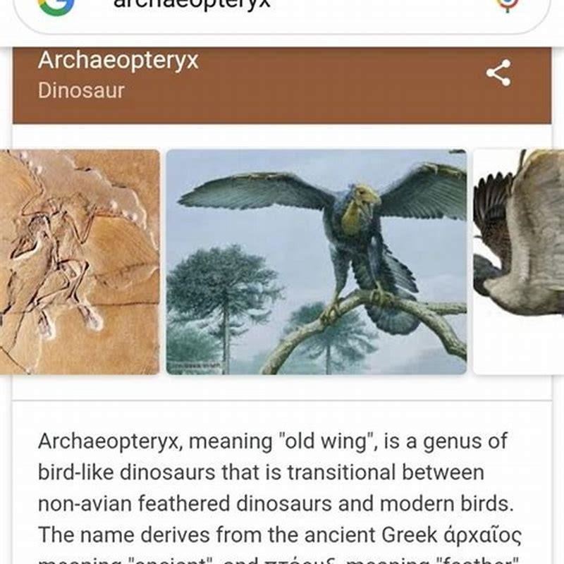 why-archaeopteryx-is-known-as-glorified-reptiles-diy-seattle