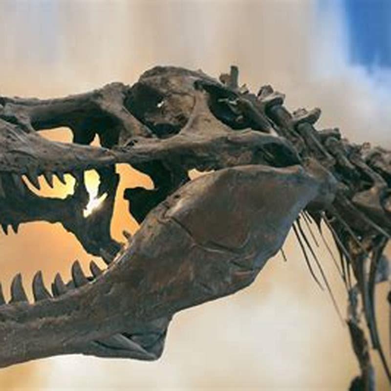 Why did the maiasaura go extinct?