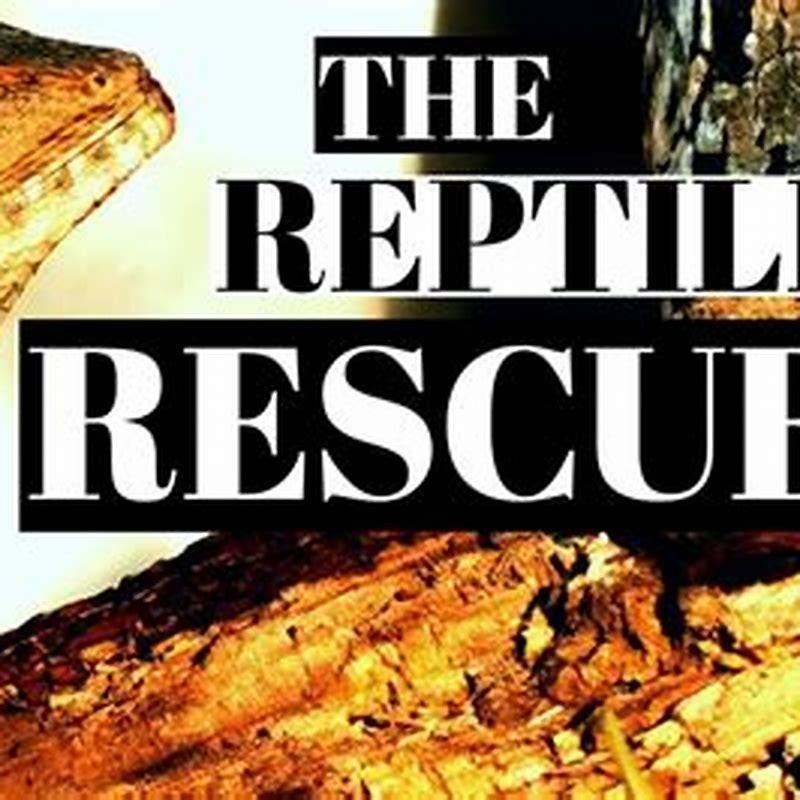 Can reptiles survive being frozen?