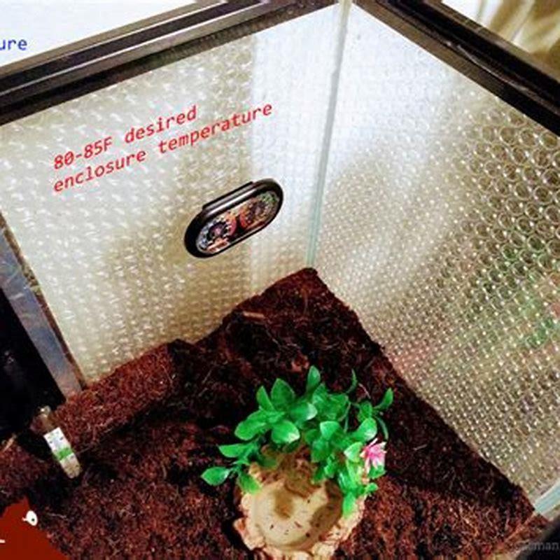 How do you apply heat tape to a terrarium?