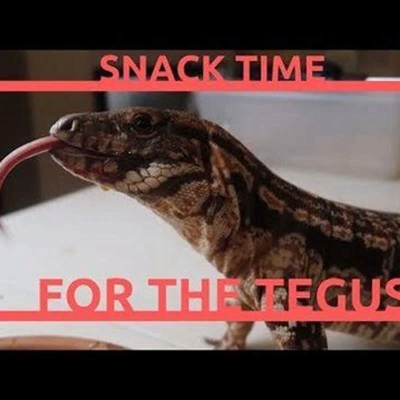 How do you bake sticks for reptiles?
