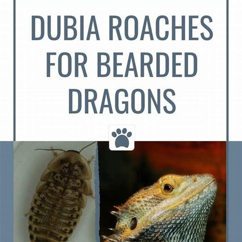 How do you disinfect reptile supplies?