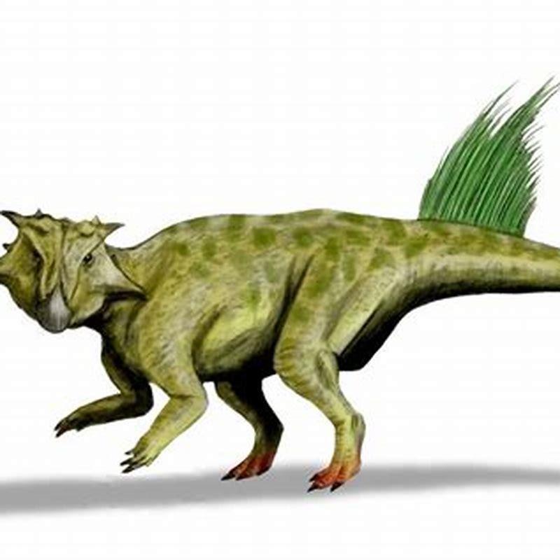 How many Psittacosaurus species are there?