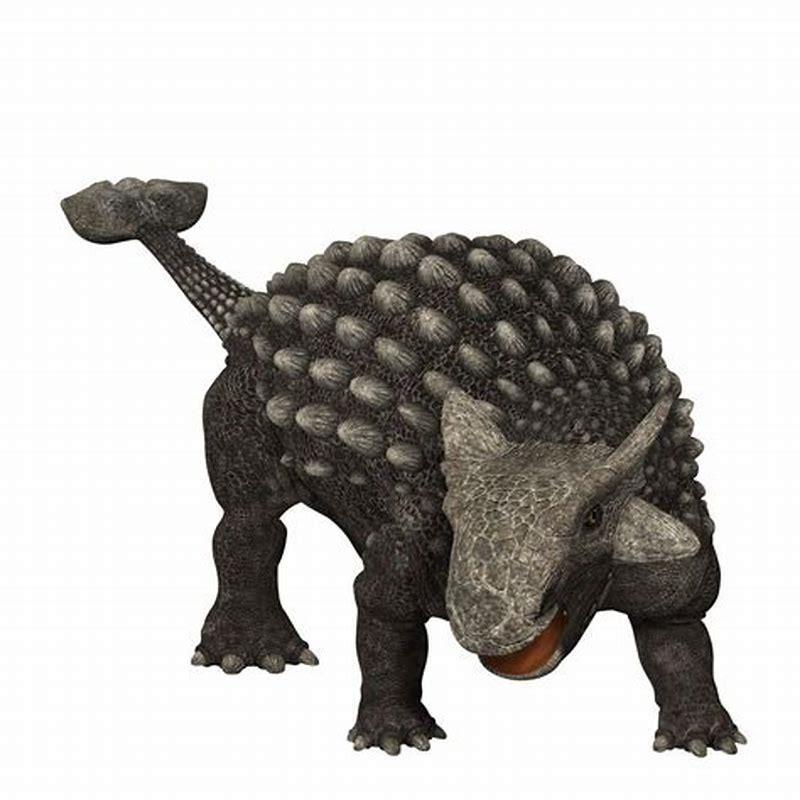 What did Ankylosaurus look like?