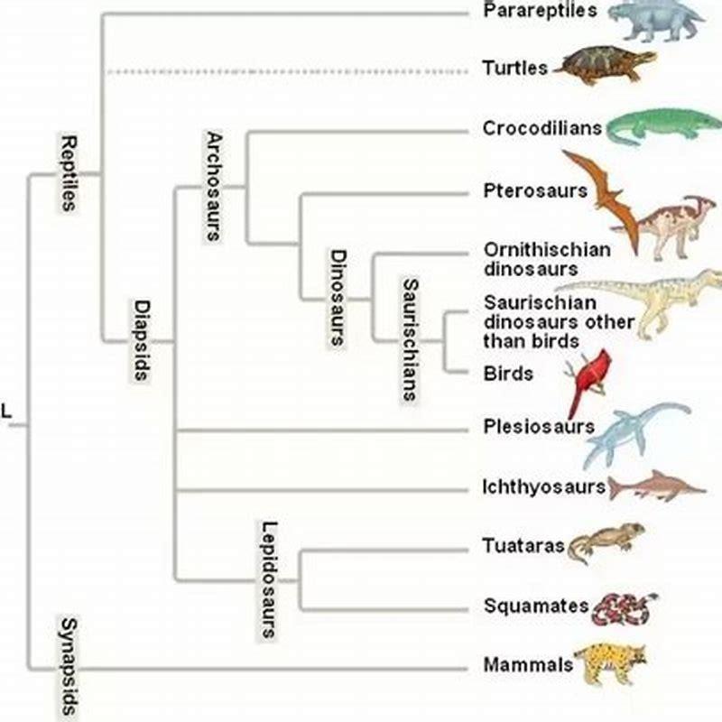 In what why do amphibians differ from reptiles? - DIY Seattle