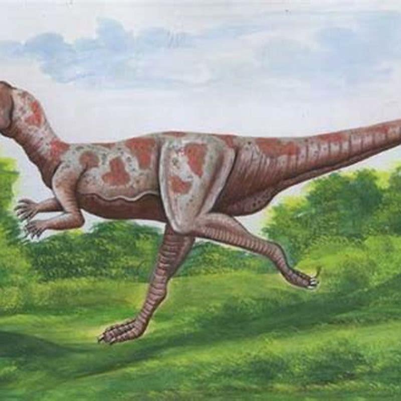 What did the Micropachycephalosaurus eat?