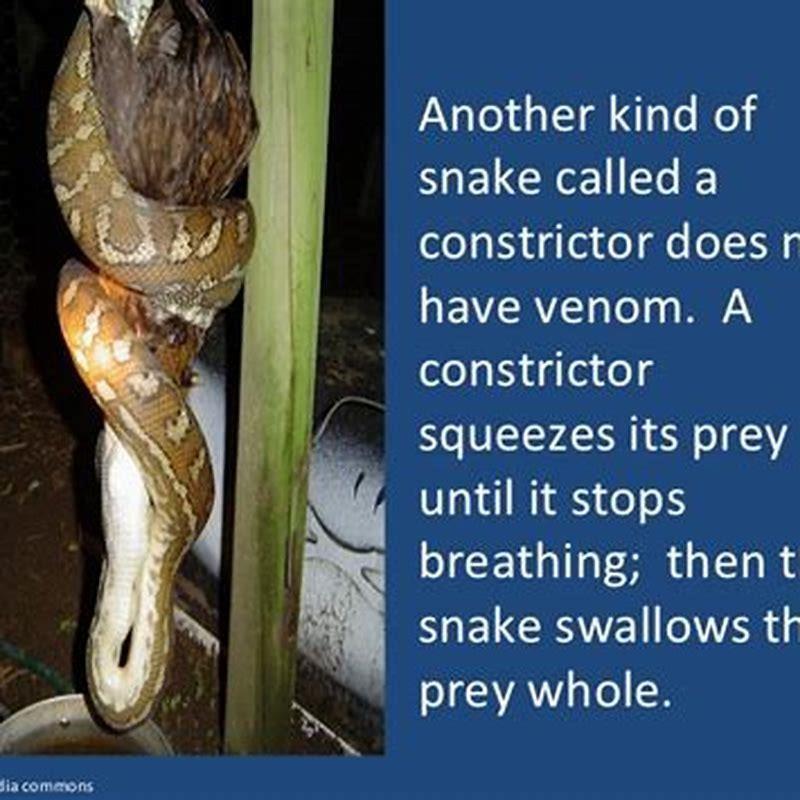 What does the reptiles use to capture its food?