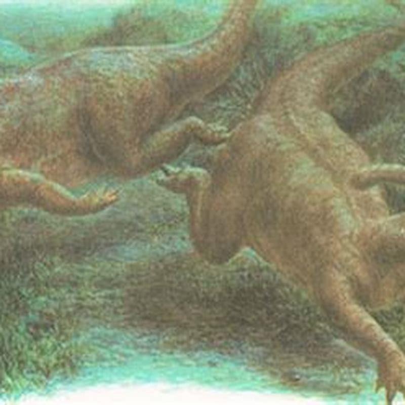 What habitat did hadrosaurs live?