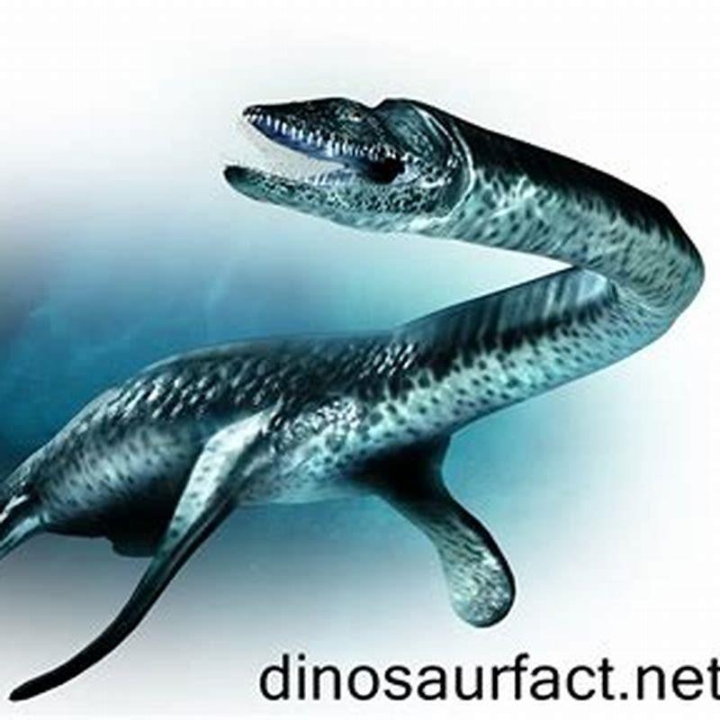 Are plesiosaurs dinosaurs?
