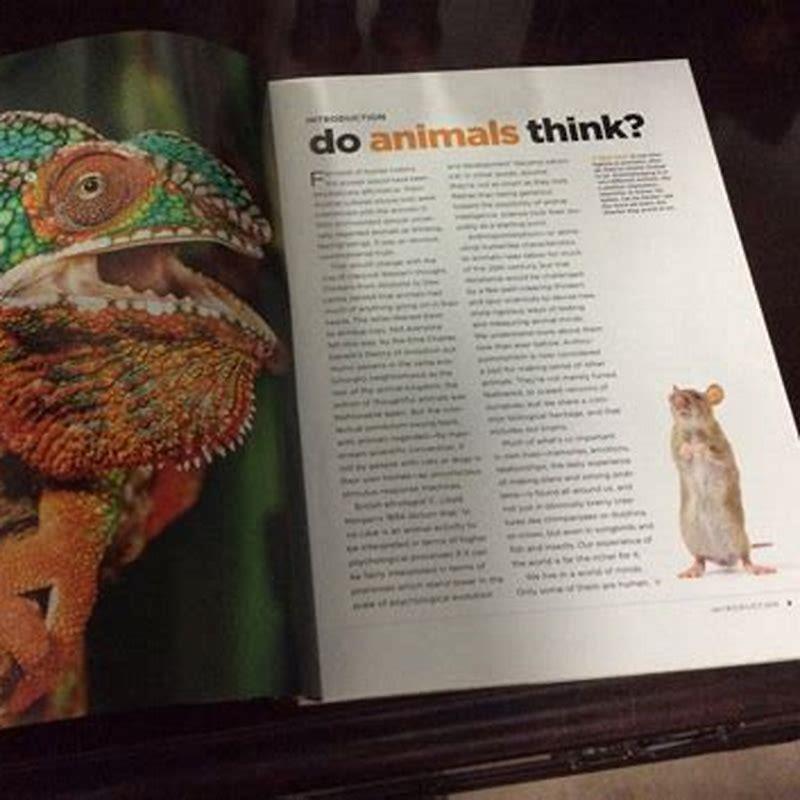 Are there any reptiles that show affection?