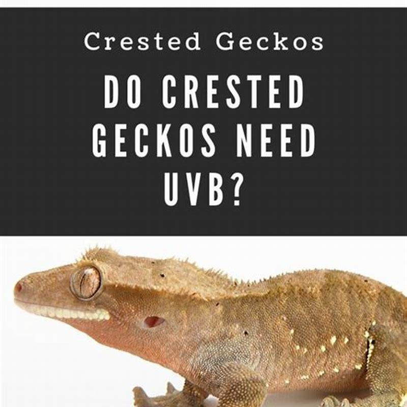 Do all reptiles need UVB?